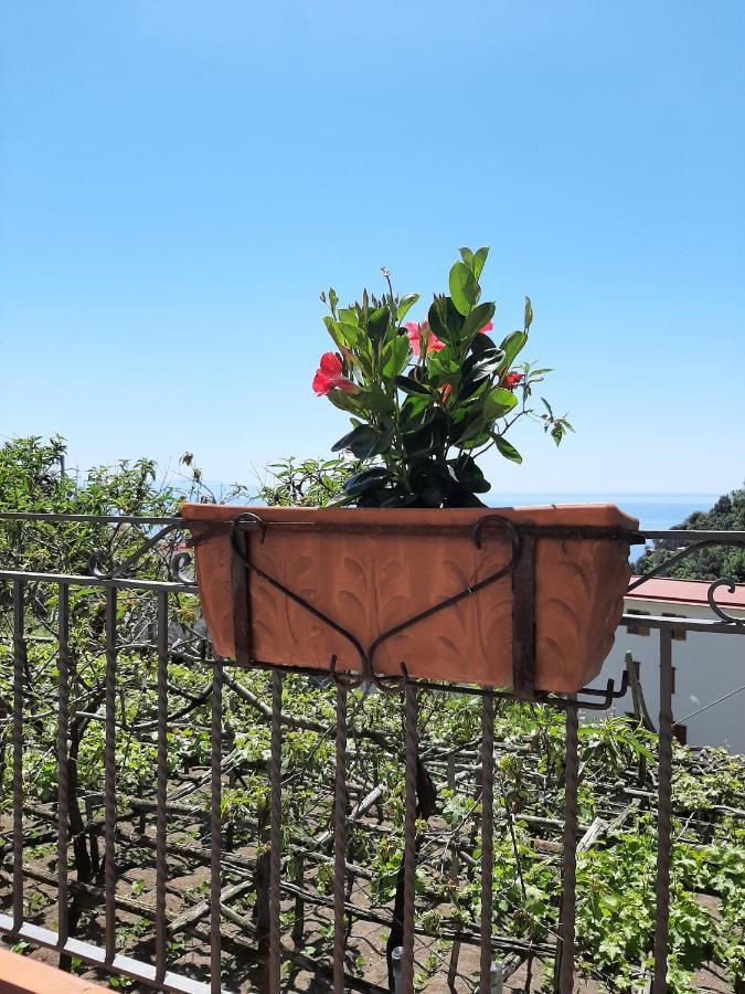 Apartamento Casa Almary Amalfi Exterior foto